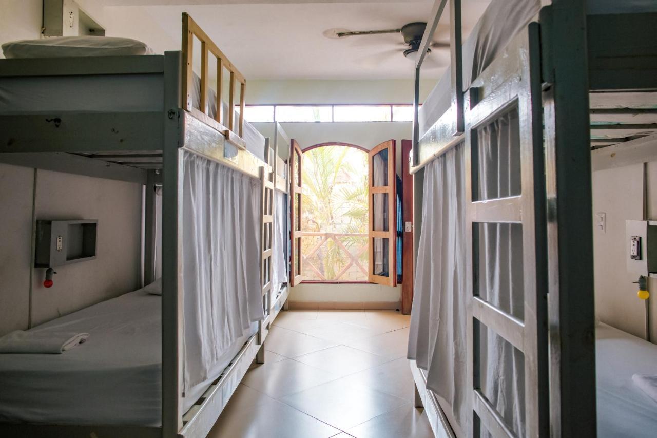 Bed in 6-Bed Mixed Dormitory Room
